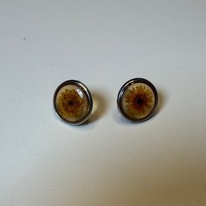 Dried mini Daisies Stud Earrings